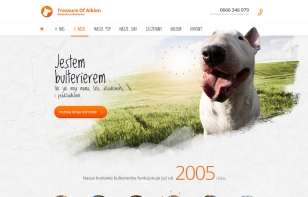 www.bull-terrier.pl